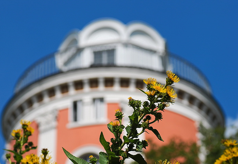 WTL-Haus-D31_6690.jpgWuppertal .jpg - Elisenturm - Botanischer Garten